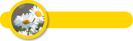 Sanitary Waste Systems