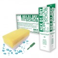 Nex D1 Dry Sterile EO Brush/Sponge