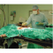 Adult High Protection Blanket in Operating Theatre